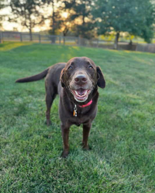 Memories That Stick: Turning Photos Into Lasting Keepsakes