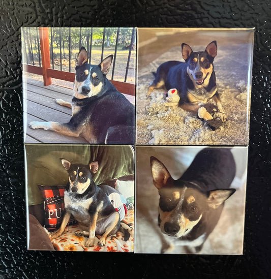 Set of 4 Custom 2x2 Magnets